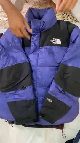 The North Face puffer 700/800/900